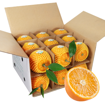 Authentic Zigui Lun late sweet oranges, fresh seasonal fruits, high-quality large fruits, 15-18 piec
